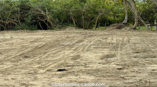 photos for SABANETA DE YASICA: THE LAST LOT WITH DIRECT BEACH LOCATION ON THE NATURAL LA BOKA BEACH